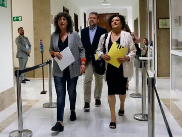 Los diputados de ERC Teresa Jordà (i), Francesc-Marc Álvaro y Pilar Vallugera (d) recogen sus actas en el Congreso