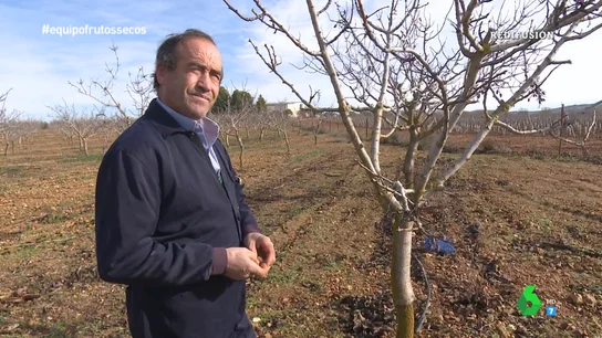 De pedir un préstamo de 6.000 euros a ganar dos millones: la historia de un agricultor que cambió los olivos por los pistachos De pedir un préstamo de 6.000 euros a ganar dos millones: la historia de un agricultor que cambió los olivos por los pistachos