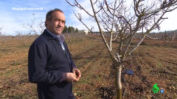 De pedir un préstamo de 6.000 euros a ganar dos millones: la historia de un agricultor que cambió los olivos por los pistachos