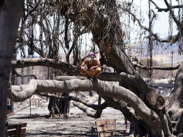 The death toll from the fires in Hawaii rises to 67 with more than 11,000 people without electricity