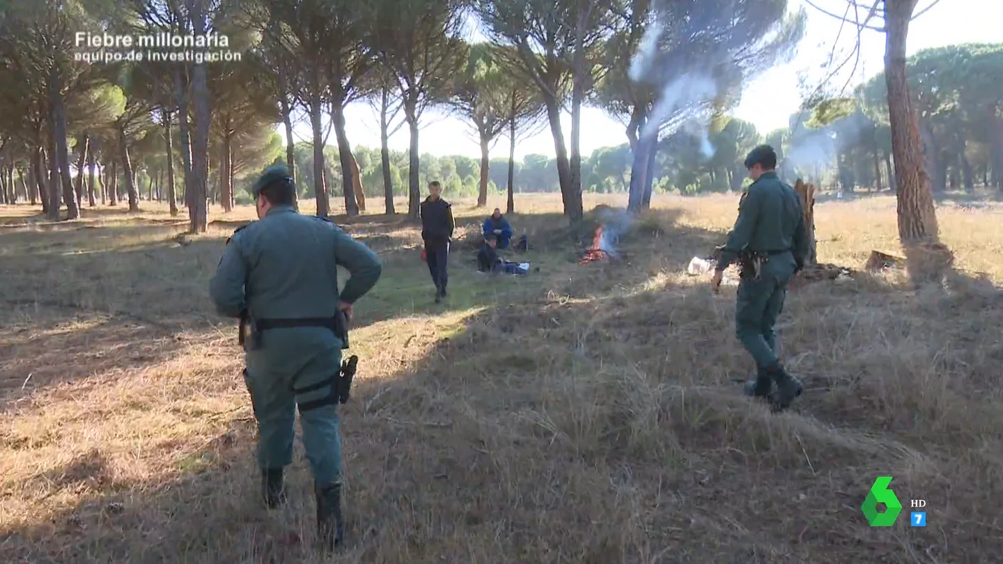 "Le han dado palizas a compañeros": un trabajador alerta sobre las prácticas de los ladrones furtivos de piñas en Zamora "Le han dado palizas a compañeros": un trabajador alerta sobre las prácticas de los ladrones furtivos de piñas en Zamora