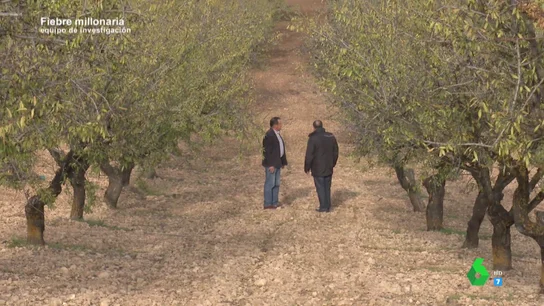 "Controlan los movimientos del agricultor y aprovechan el mejor momento": así actúan los ladrones furtivos de frutos secos en el campo "Controlan los movimientos del agricultor y aprovechan el mejor momento": así actúan los ladrones furtivos de frutos secos en el campo