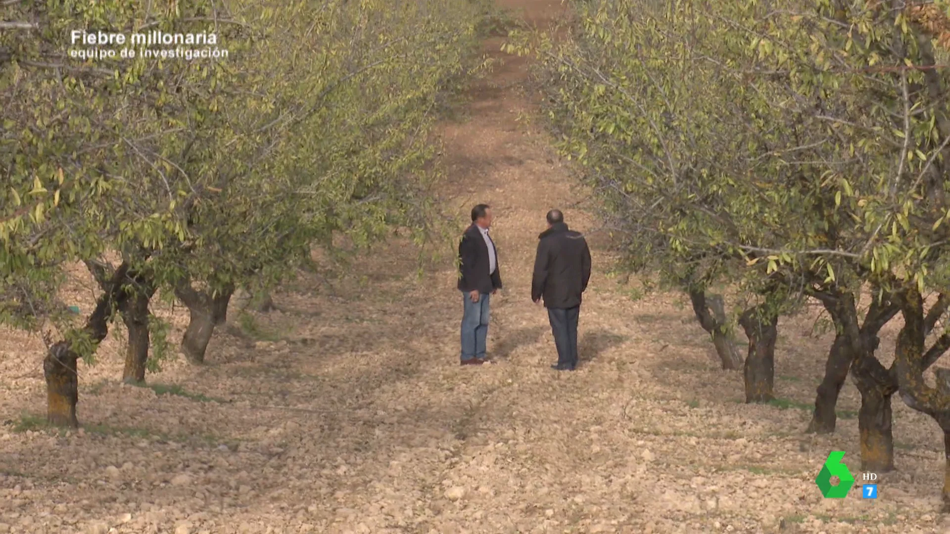 "Controlan los movimientos del agricultor y aprovechan el mejor momento": así actúan los ladrones furtivos de frutos secos en el campo