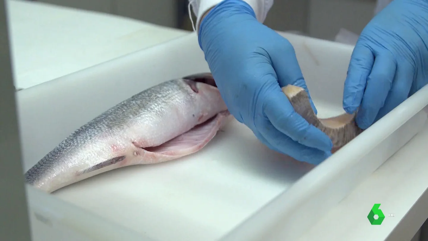Los sorprendentes resultados de un análisis de concentración de mercurio en pescados: "Es el doble del máximo permitido" Los sorprendentes resultados de un análisis de concentración de mercurio en pescados: "Es el doble del máximo permitido"