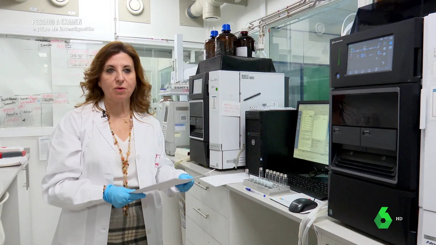 Cómo evitar las intoxicaciones por histamina en el pescado: las recomendaciones de una bióloga en Equipo de Investigación Cómo evitar las intoxicaciones por histamina en el pescado: las recomendaciones de una bióloga en Equipo de Investigación