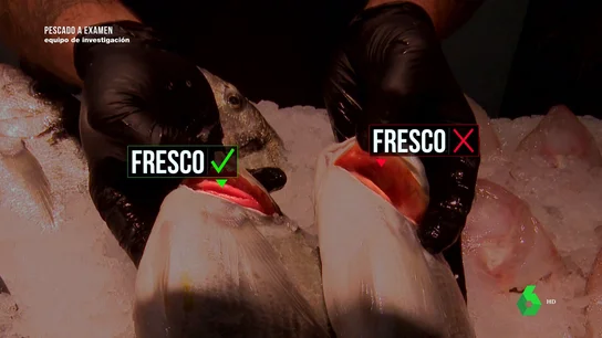 "El olor es fuerte, recuerda al amoniaco": los detalles que debes tener en cuenta si quieres comprar pescado fresco "El olor es fuerte, recuerda al amoniaco": los detalles que debes tener en cuenta si quieres comprar pescado fresco