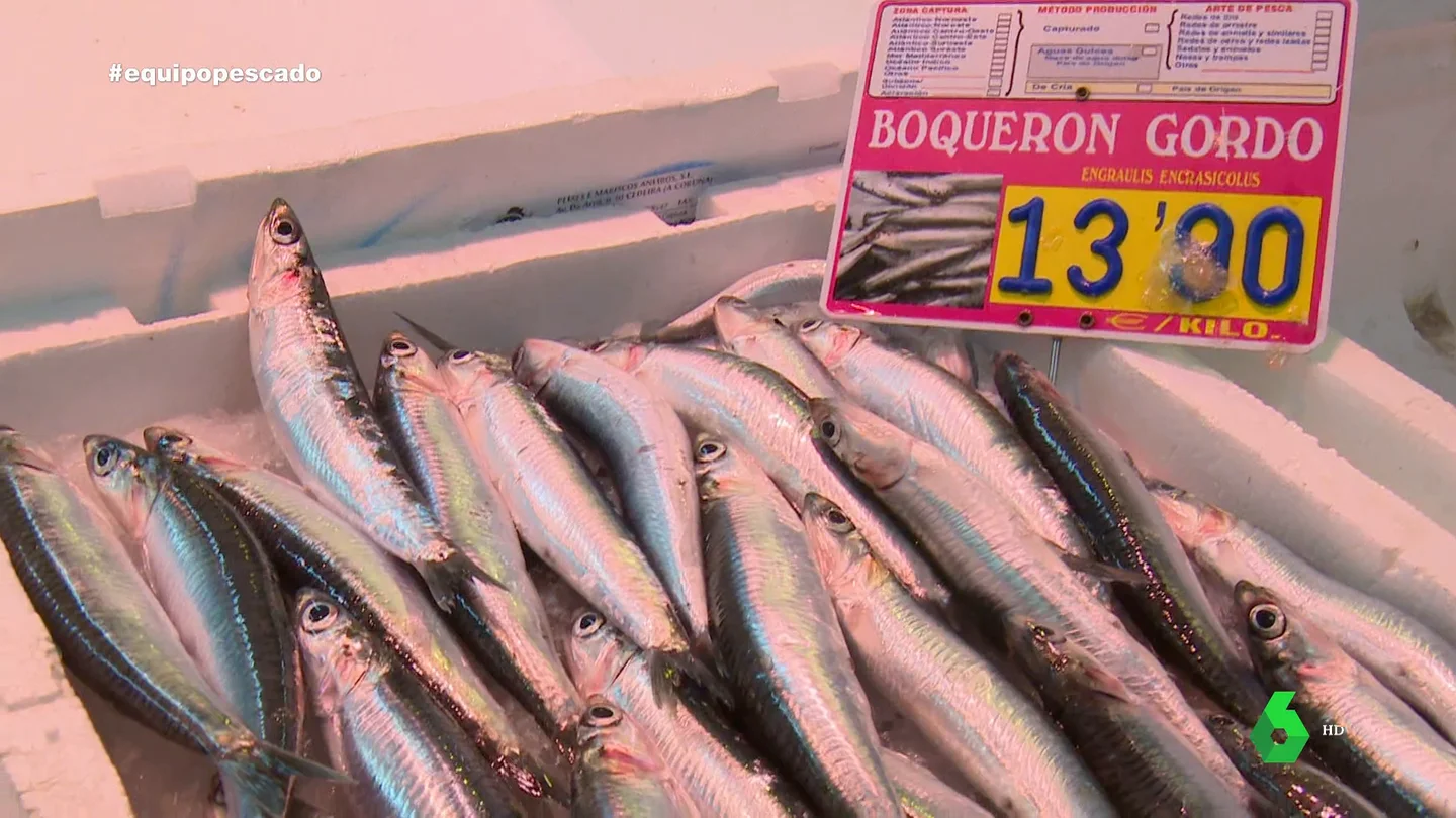 ¿Cómo saber si estás comprando pescado fresco?: Equipo de Investigación ofrece las claves ¿Cómo saber si estás comprando pescado fresco?: Equipo de Investigación ofrece las claves