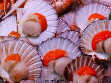 Los mariscos cultivados por el hombre son mas resistentes a la extincion Los mariscos cultivados por el hombre son mas resistentes a la extincion