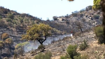 Imagen de archivo. Un helicóptero trabaja en las labores de extinción de un incendio.