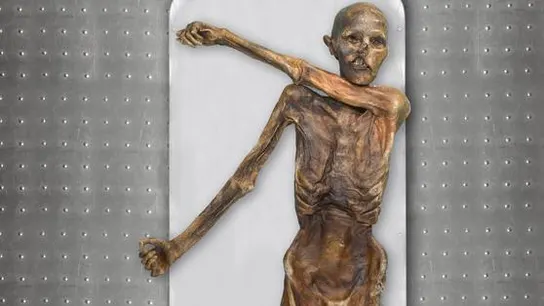 Ötzi, conocido como el Hombre de los Hielos, tiene más de 5.300 años de antigüedad y es la momia más antigua preservada en hielo que se conoce Ötzi, conocido como el Hombre de los Hielos, tiene más de 5.300 años de antigüedad y es la momia más antigua preservada en hielo que se conoce