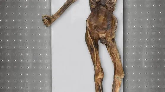 Ötzi, conocido como el Hombre de los Hielos, tiene más de 5.300 años de antigüedad y es la momia más antigua preservada en hielo que se conoce