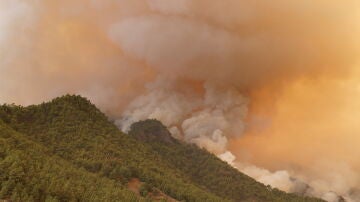 Imagen del incendio que afecta a Tenerife