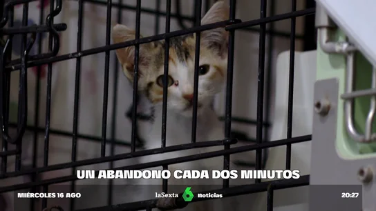 Abandono Abandono