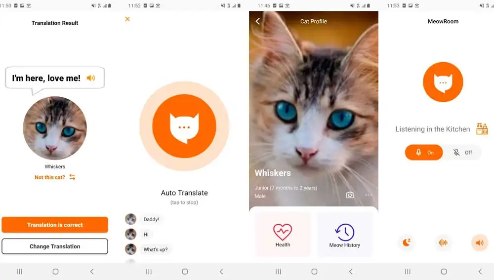 Comunicarte con tu gato Comunicarte con tu gato