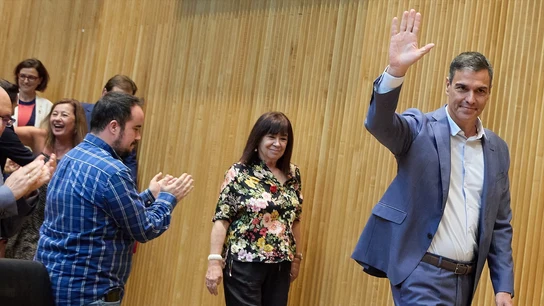 Pedro Sánchez y Cristina Narbona a su llegada a la reunión de diputados y senadores socialistas en el Congreso Pedro Sánchez y Cristina Narbona a su llegada a la reunión de diputados y senadores socialistas en el Congreso