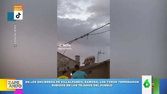 El surrealista encierro de Villalpando, en Zamora, que terminó con los toros en un tejado El surrealista encierro de Villalpando, en Zamora, que terminó con los toros en un tejado