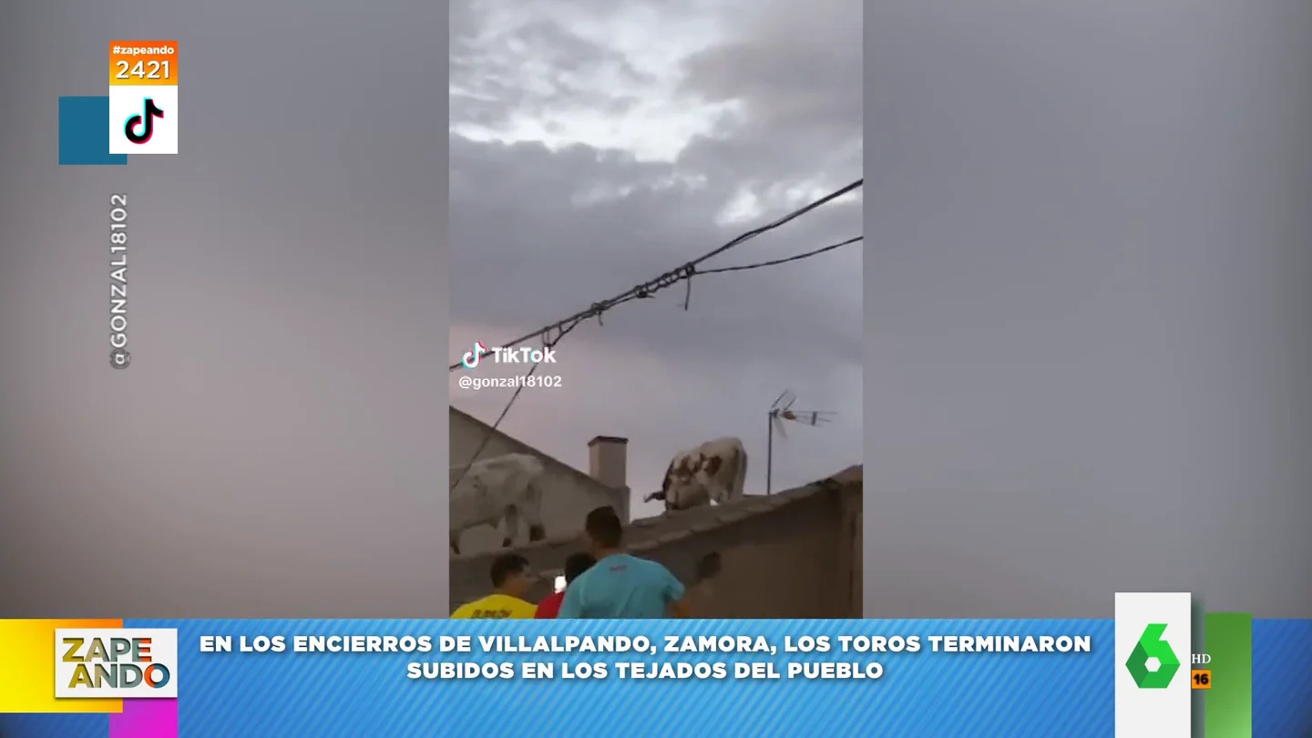 El surrealista encierro de Villalpando, en Zamora, que terminó con los toros en un tejado El surrealista encierro de Villalpando, en Zamora, que terminó con los toros en un tejado