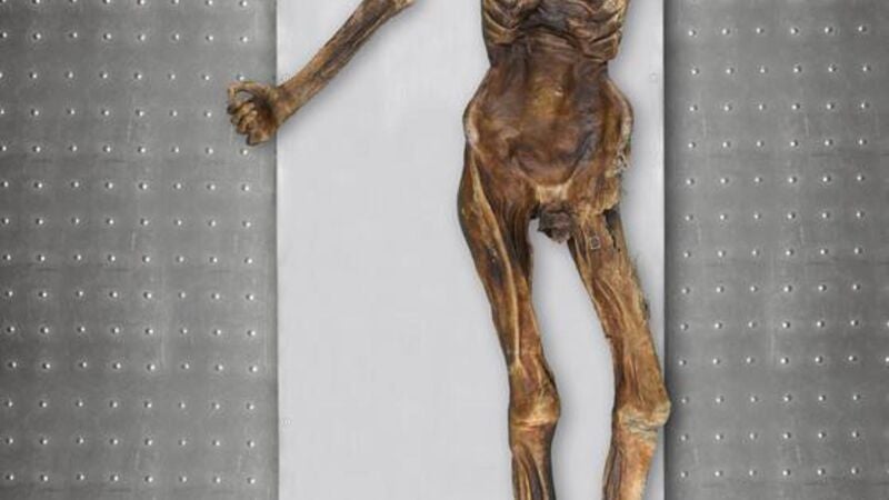 Ötzi, el Hombre de los Hielos, tenía la piel y los ojos oscuros y era posiblemente calvo