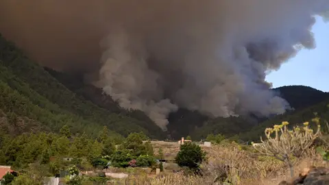 El incendio en Tenerife sigue "fuera de control" y obliga a evacuar a 150 personas 