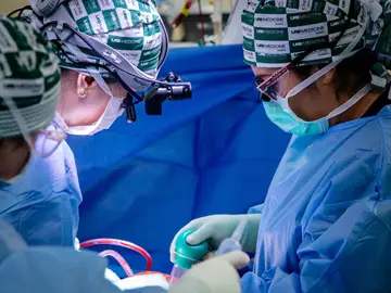 Logran trasplantar riñones de cerdo modificados genéticamente a un humano y que estos funcionen Logran trasplantar riñones de cerdo modificados genéticamente a un humano y que estos funcionen