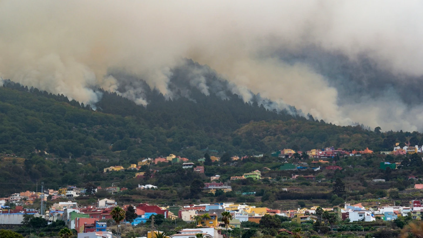 Incendio en Tenerife, en directo | Última hora del fuego que sigue fuera de control y arrasa 5.000 hectáreas Incendio en Tenerife, en directo | Última hora del fuego que sigue fuera de control y arrasa 5.000 hectáreas