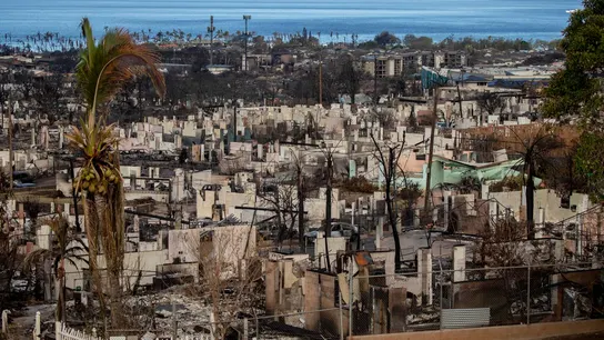 Construcciones devastadas por el fuego en Maui, Hawái Construcciones devastadas por el fuego en Maui, Hawái