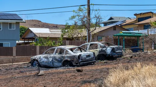Ascienden a 114 las víctimas mortales por el incendio en Hawái: los equipos de rescate buscan a un millar de desaparecidos Ascienden a 114 las víctimas mortales por el incendio en Hawái: los equipos de rescate buscan a un millar de desaparecidos