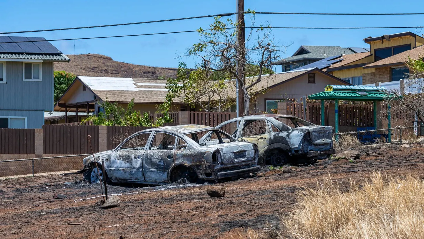 Ascienden a 114 las víctimas mortales por el incendio en Hawái: los equipos de rescate buscan a un millar de desaparecidos Ascienden a 114 las víctimas mortales por el incendio en Hawái: los equipos de rescate buscan a un millar de desaparecidos