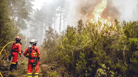 Centrados en consolidar la zona norte, de este a oeste Federico Grillo, ingeniero forestal analista de incendios, ha explicado que la idea es trabajar durante el día en consolidar la zona norte, desde el este hacia el oeste para no perder el trabajo que se vaya haciendo. "Sería viable que hoy desapareciera el grave riesgo en la zona norte". Centrados en consolidar la zona norte, de este a oeste Federico Grillo, ingeniero forestal analista de incendios, ha explicado que la idea es trabajar durante el día en consolidar la zona norte, desde el este hacia el oeste para no perder el trabajo que se vaya haciendo. "Sería viable que hoy desapareciera el grave riesgo en la zona norte".