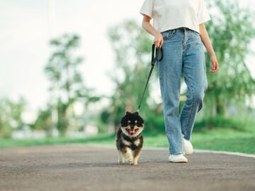 Persona paseando a un perro