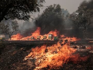 They find the charred bodies of at least 26 suspected migrants in the fires in northeastern Greece