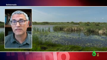 Eloy Revilla advierte de la "situación límite" en Doñana: "El consumo del agua no es sostenible en el acuífero"