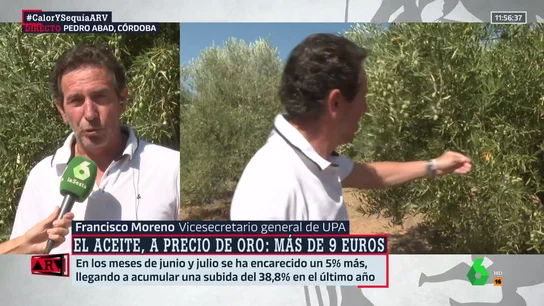 La petición del vicesecretario de UPA para evitar que el precio del aceite sufra continuas variaciones La petición del vicesecretario de UPA para evitar que el precio del aceite sufra continuas variaciones