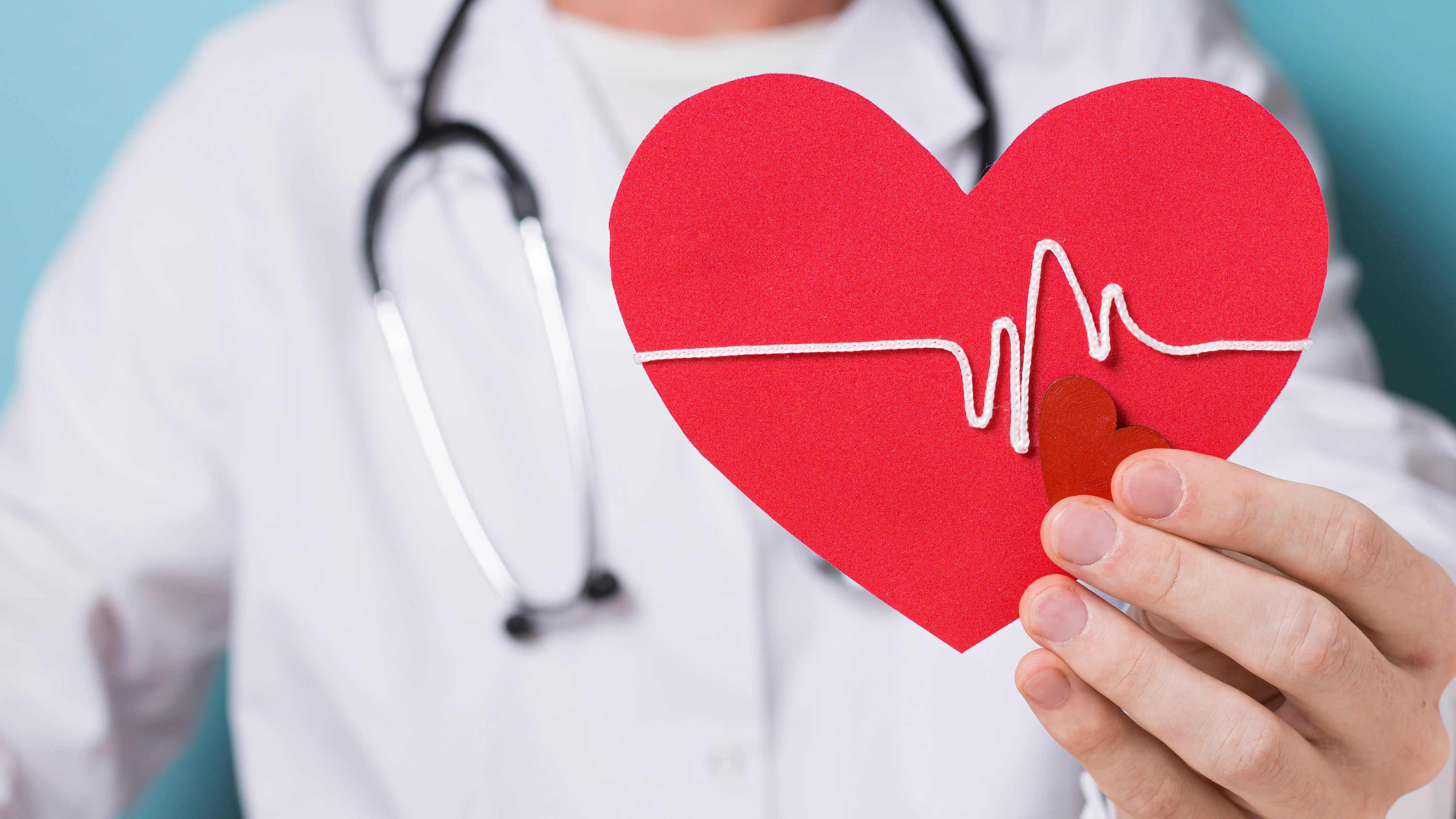 Corazón. Enfermedades cardiovasculares. 