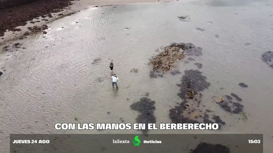 berberechos berberechos