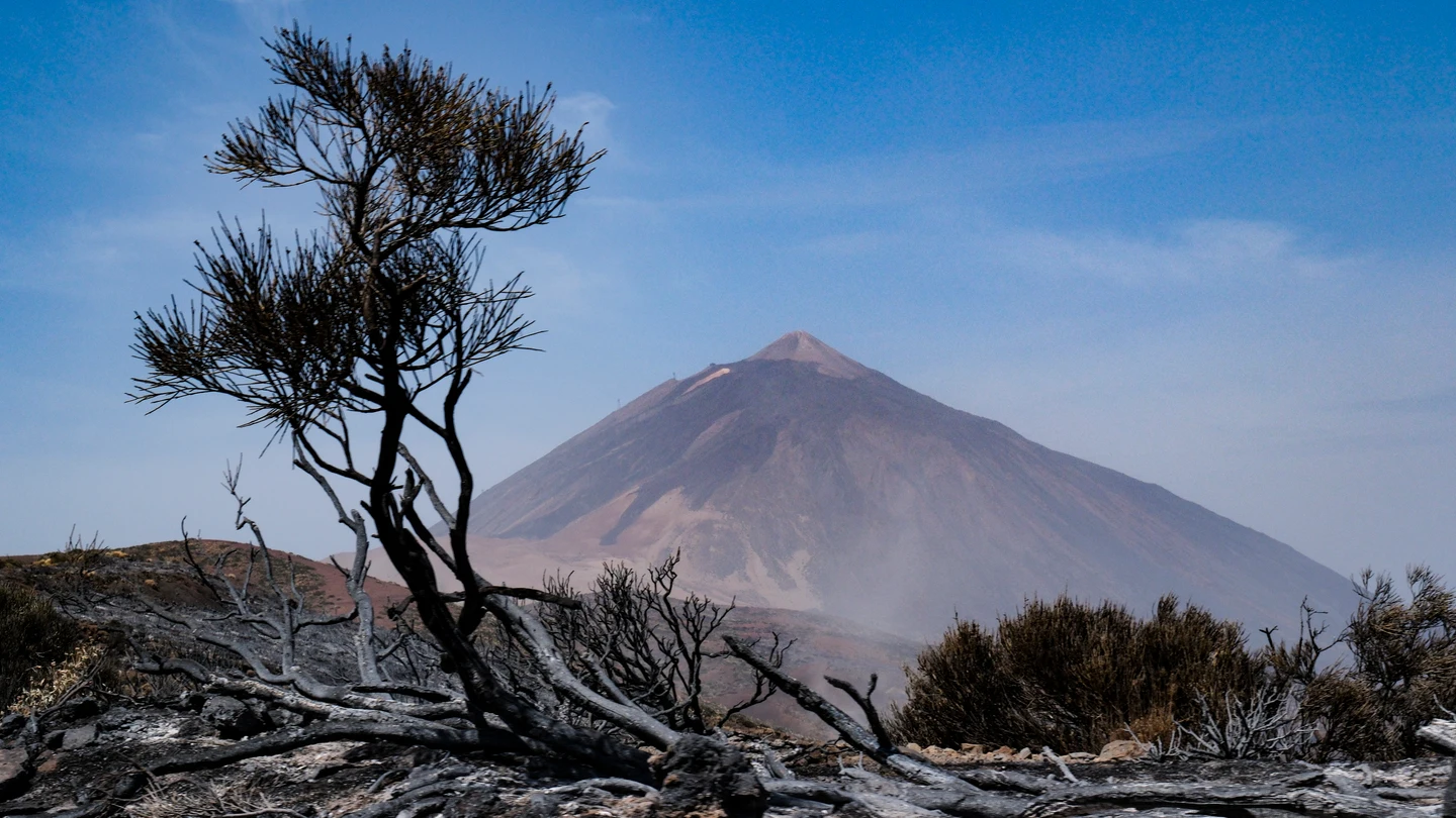 Los restos calcinados por el incendio de Tenerife Los restos calcinados por el incendio de Tenerife