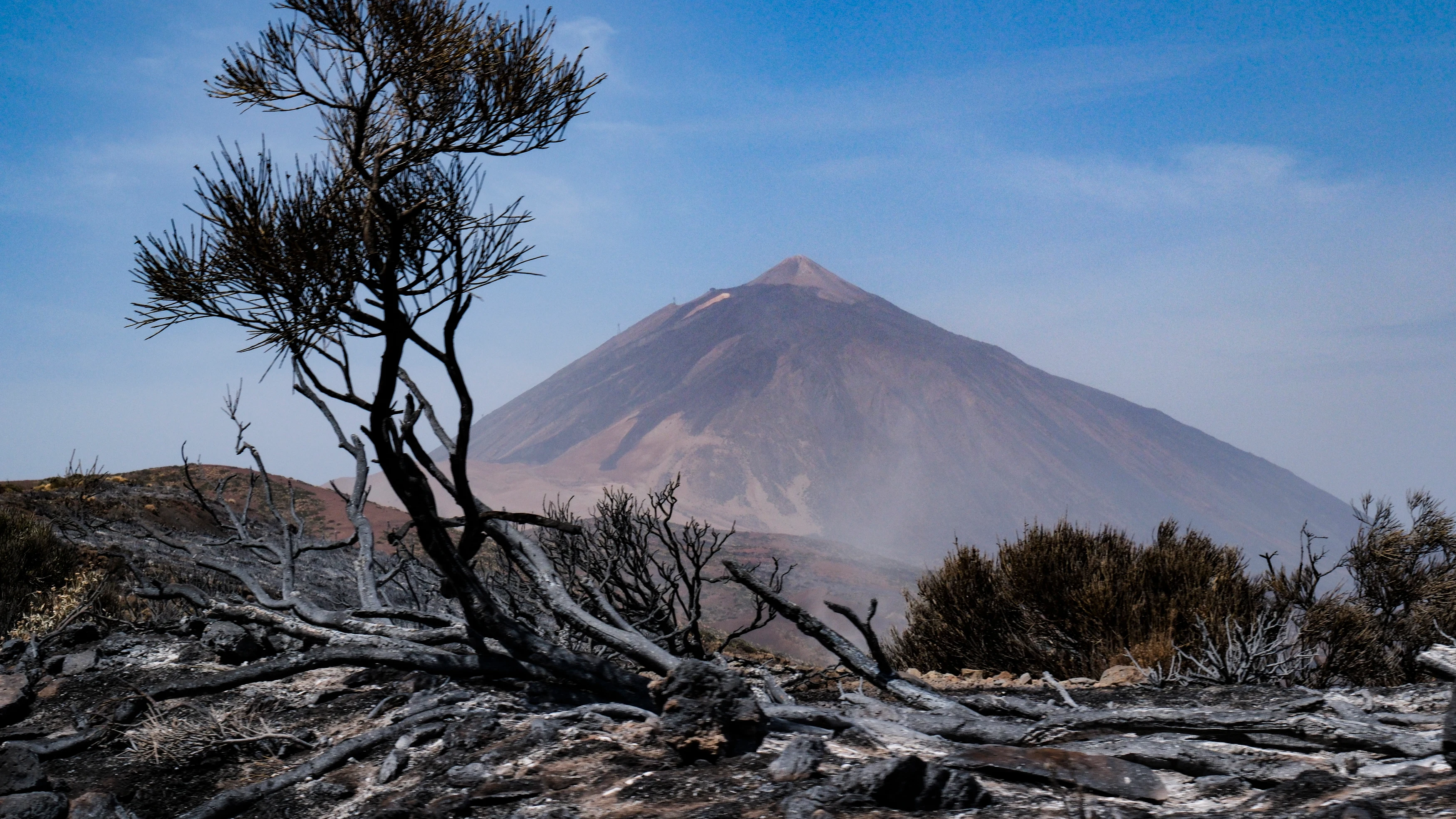 Los restos calcinados por el incendio de Tenerife