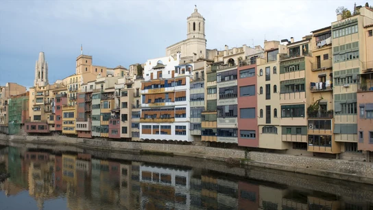 Muere un perro ahorcado al saltar para del balcón en el que estaba atado al huir del calor Muere un perro ahorcado al saltar para del balcón en el que estaba atado al huir del calor