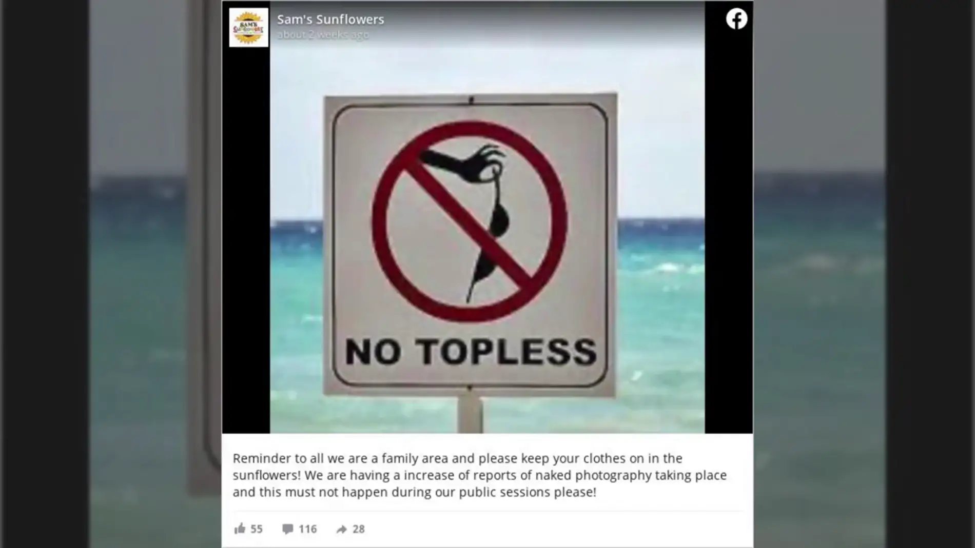 La surrealista petición de un campo de girasoles a los turistas: "Mantened vuestra ropa puesta"