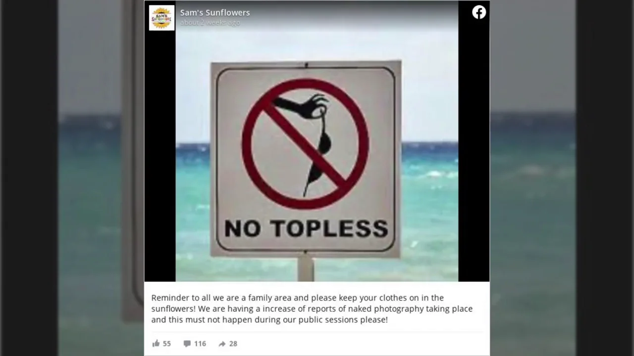 La surrealista petici&oacute;n de un campo de girasoles a los turistas: "Mantened vuestra ropa puesta"