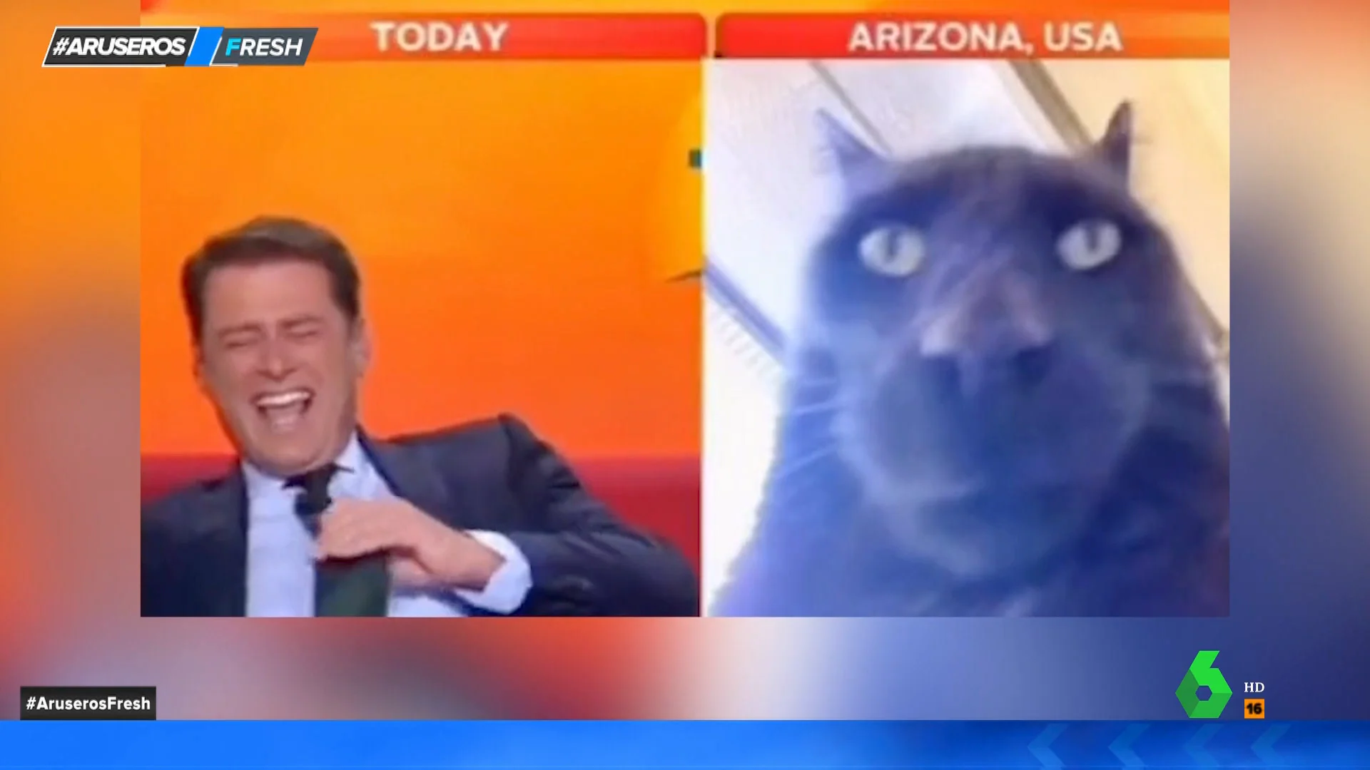 Así reacciona un presentador cuando al conectar en directo con su entrevistado aparece un gato