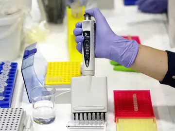 La inteligencia artificial aún no mejora el diagnóstico del cáncer colorrectal, según un estudio La inteligencia artificial aún no mejora el diagnóstico del cáncer colorrectal, según un estudio