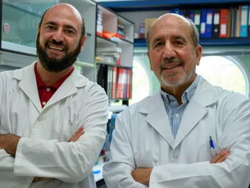 El CSIC cede a la OMS sus avances en el desarrollo de la vacuna covid 19 para que llegue a paises en desarrollo El CSIC cede a la OMS sus avances en el desarrollo de la vacuna covid 19 para que llegue a paises en desarrollo