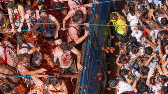Dónde ver en directo la Tomatina de Buñol Dónde ver en directo la Tomatina de Buñol