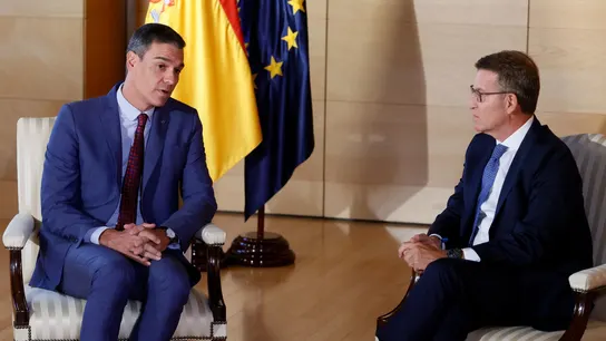 Pedro Sánchez y Alberto Núñez Feijóo durante su reunión en el Congreso. Pedro Sánchez y Alberto Núñez Feijóo durante su reunión en el Congreso.