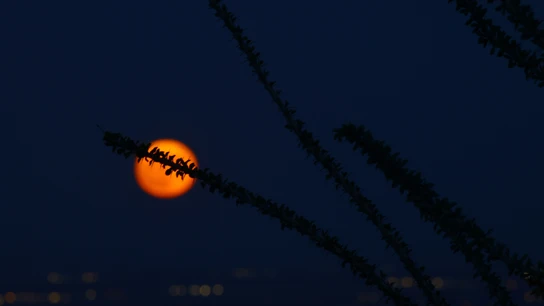Vista de la superluna azul, a 30 de agosto de 2023, Ciudad Juárez, México. Vista de la superluna azul, a 30 de agosto de 2023, Ciudad Juárez, México.