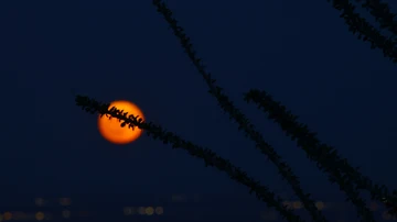 Vista de la superluna azul, a 30 de agosto de 2023, Ciudad Juárez, México.