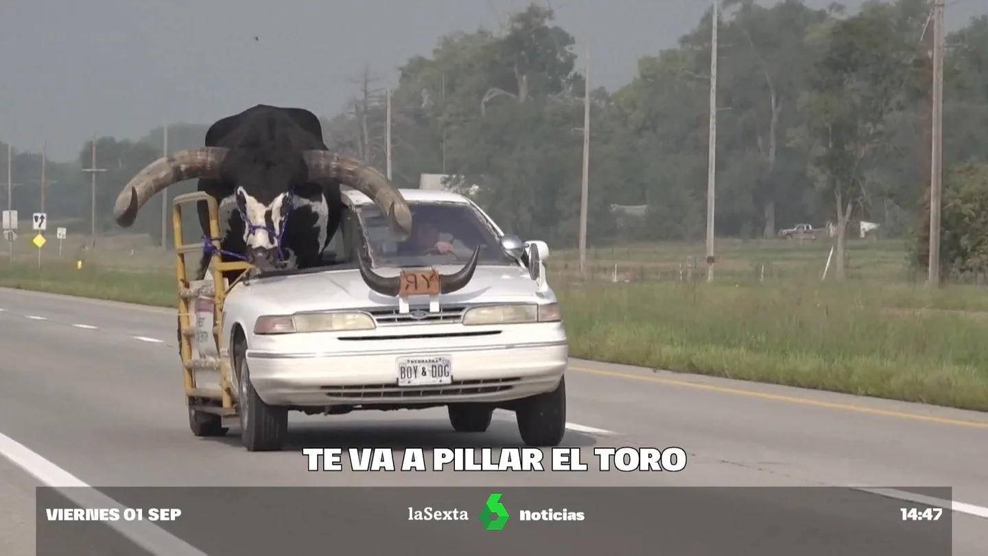 Así tuneó su coche el vecino de Nebraska para llevar a su toro de copiloto Así tuneó su coche el vecino de Nebraska para llevar a su toro de copiloto