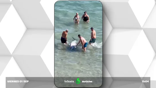 Bañistas cogen partes de un atún muerto encontrado en una playa de La Manga Bañistas cogen partes de un atún muerto encontrado en una playa de La Manga