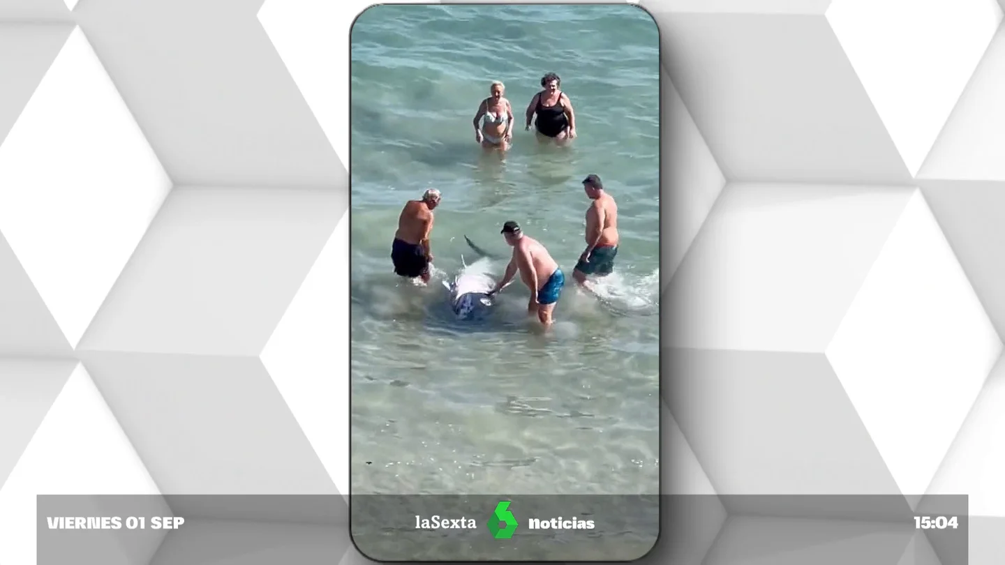 Bañistas cogen partes de un atún muerto encontrado en una playa de La Manga Bañistas cogen partes de un atún muerto encontrado en una playa de La Manga